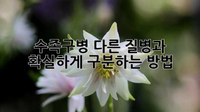수족구병? 다른 질병과 확실하게 구분하는 방법!
